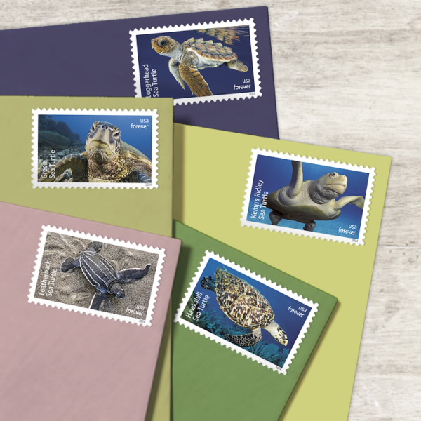 2024 Protect Sea Turtles Stamps - Forever Stamps