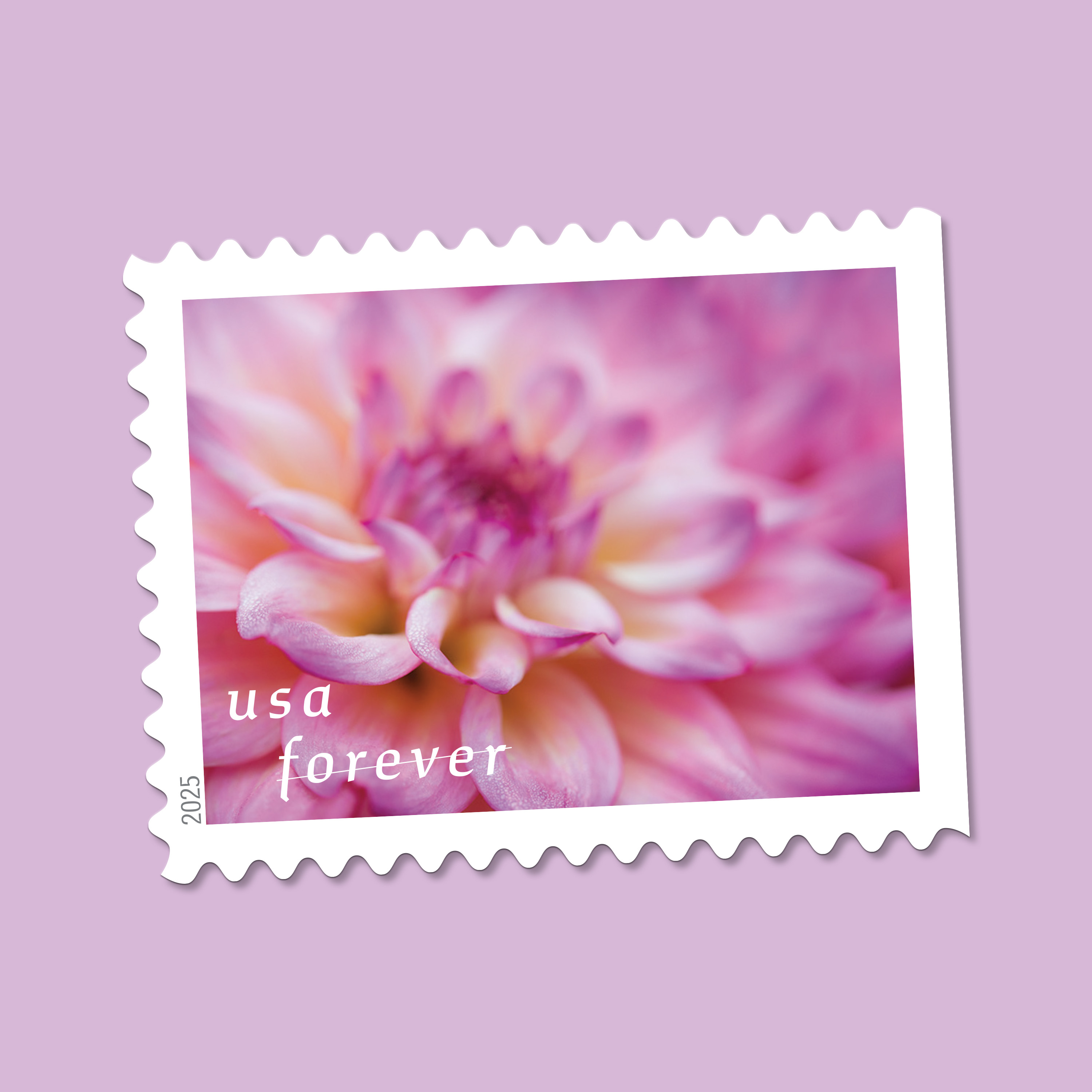 Introducing Dahlias for Spring - Forever Stamps