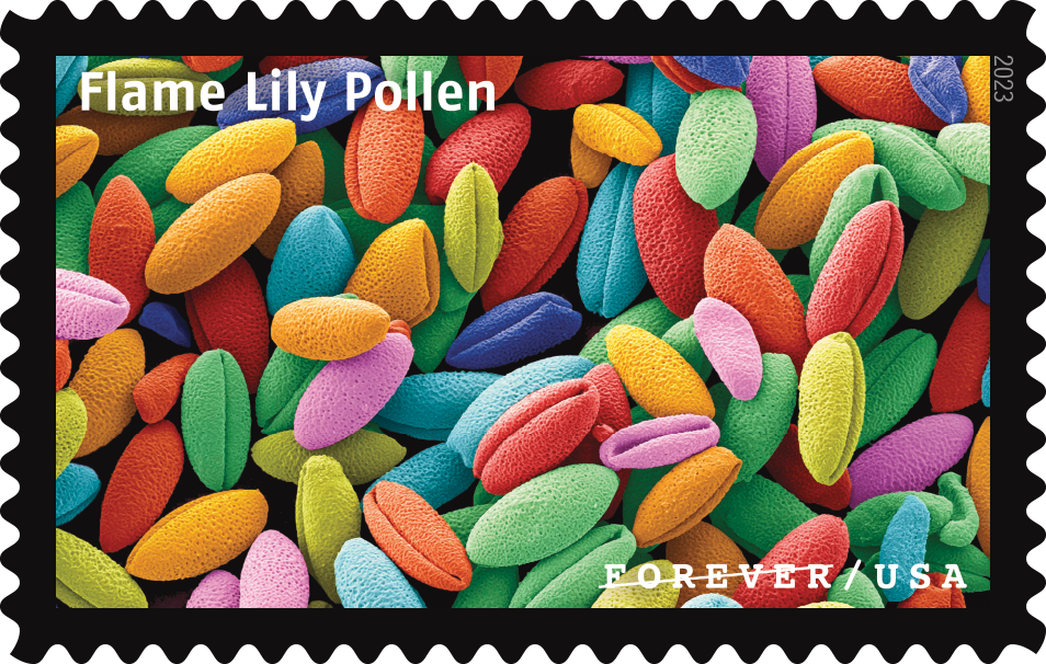 2023 Life Magnified Stamps - Forever Stamps