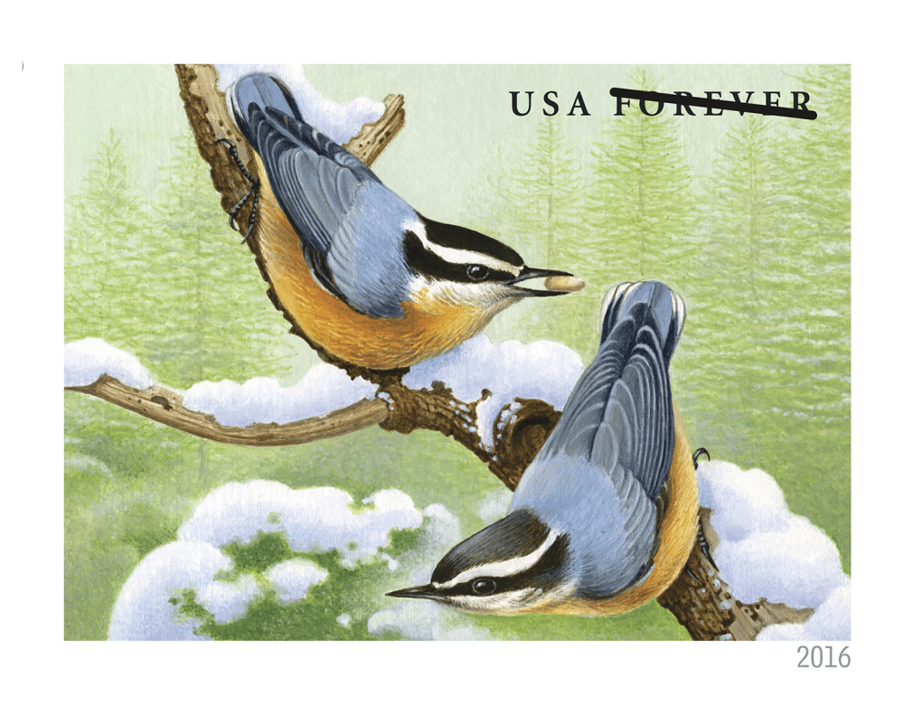 2016 Forever Stamps Songbirds In Snow - Forever Stamps