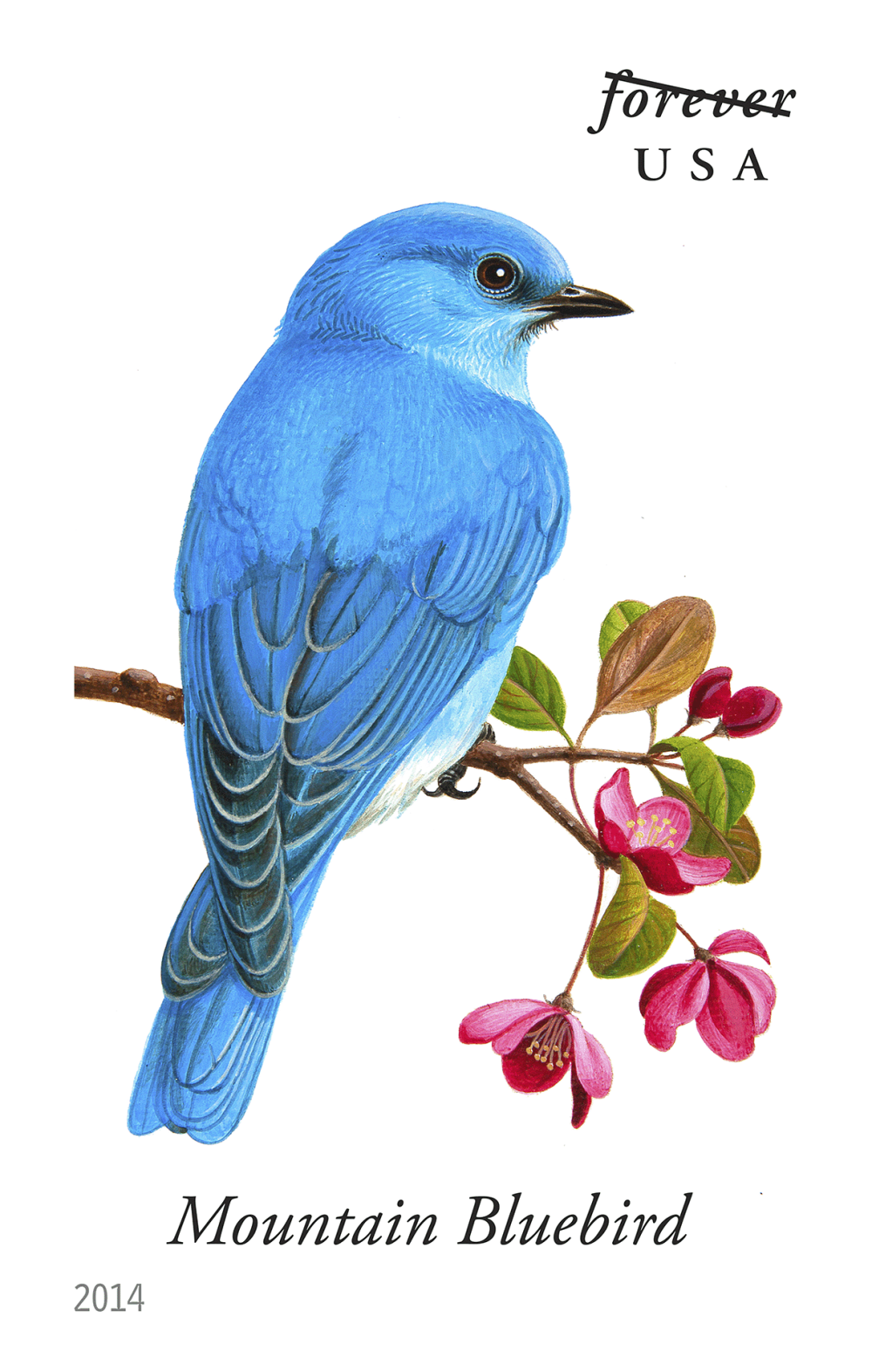 2014 Song Birds Stamps - Forever Stamps