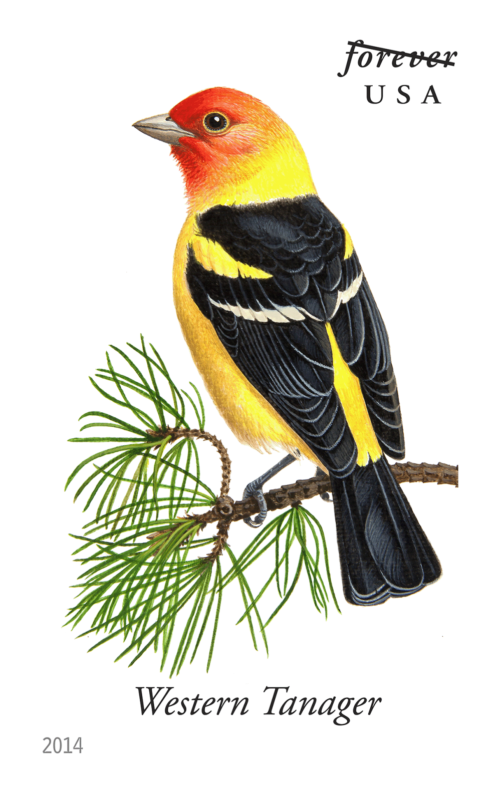 2014 Song Birds Stamps - Forever Stamps